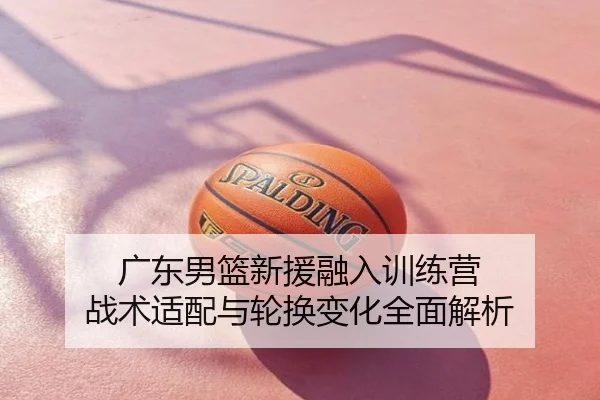广东男篮新援融入训练营 战术适配与轮换变化全面解析